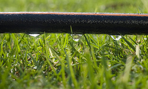 Drip irrigation photo.