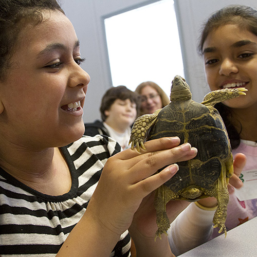 Photo: two girls inspecting a turtle.