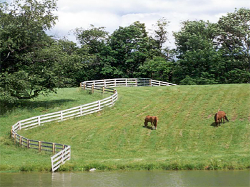 Photo: horse fences.