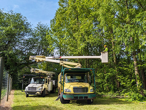 Truck of professional tree care company.