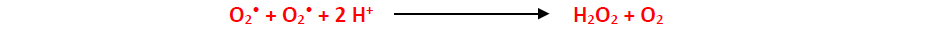 SOD catalyzes the reaction between two molecules of a superoxide radical plus two hydrogen molecules to form hydrogen peroxide and oxygen