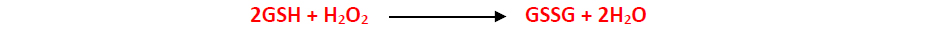 Glutathione peroxidase converts two glutathione molecules plus hydrogen peroxide to an oxidized glutathione and two waters