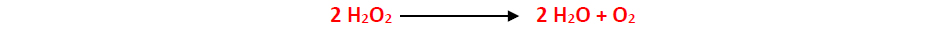 Catalase converts two hydrogen peroxides into two water molecules and one oxygen.