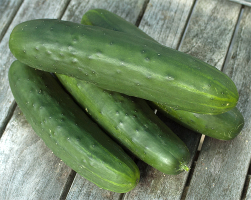 Photo: Cucumbers.