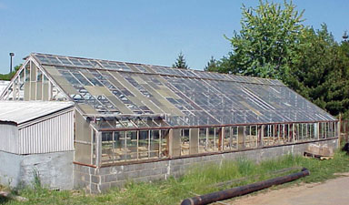 Before: greenhouse in need of repair.
