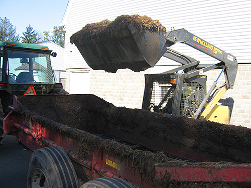 Manure loader and spreader.