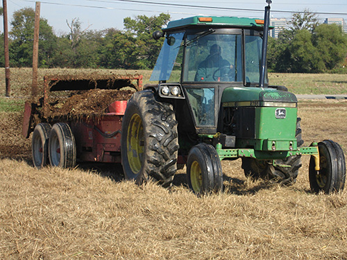 Spreading manure.