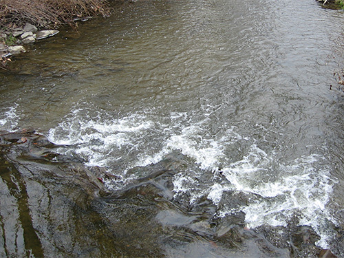 Flowing stream near farmland.