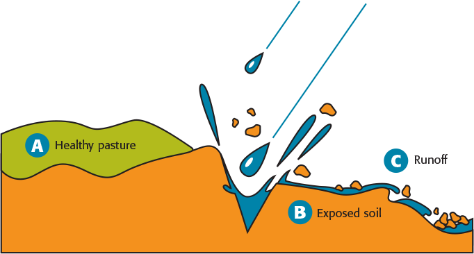 Raindrop Impact Erosion diagram