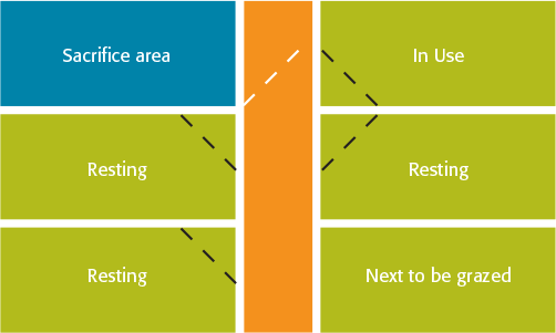 Rotational Grazing Diagram