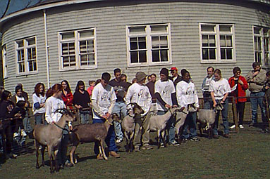 Students with goats.