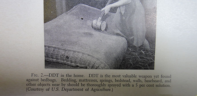 Photo of DDT treatment in 1940s.