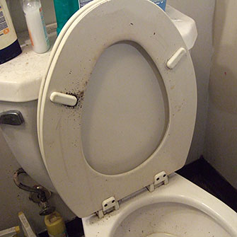 Photo of Toilet seat.