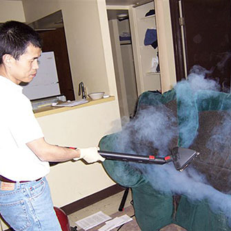 Photo of Treating couch with steam.
