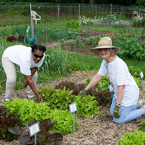 Photo: 2 women starting a garden.