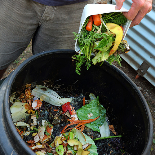 Photo: barrel of waste for compost.
