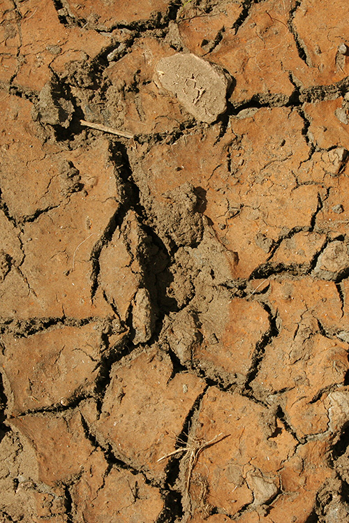 Photo of drought stricken soil.