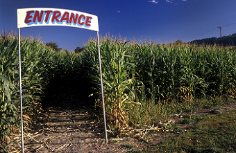 Entrance to a corn maze.