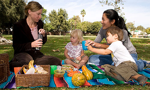 family picnic.