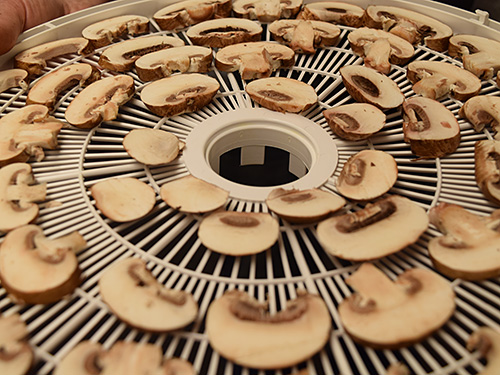 Photo: Drying mushrooms.