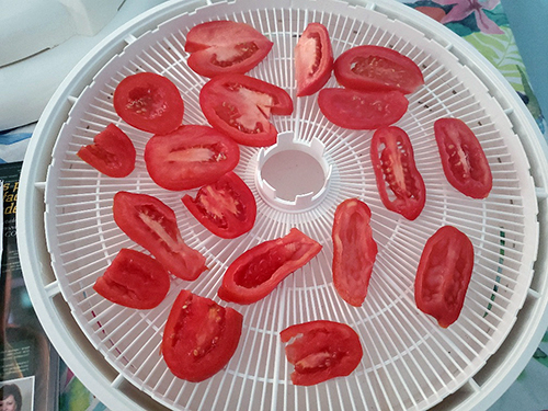 Photo: Drying tomatoes.
