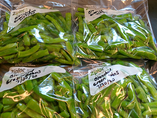 Photo: Blanched green beans frozen.