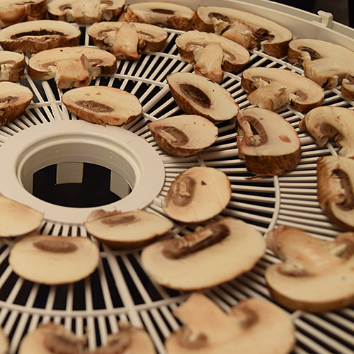 Photo: Drying mushrooms.