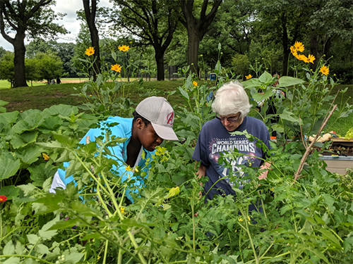 A child gardening.