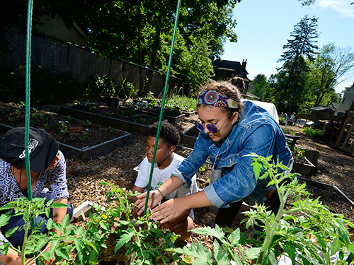 Photo: Child gardening with adult supervision.