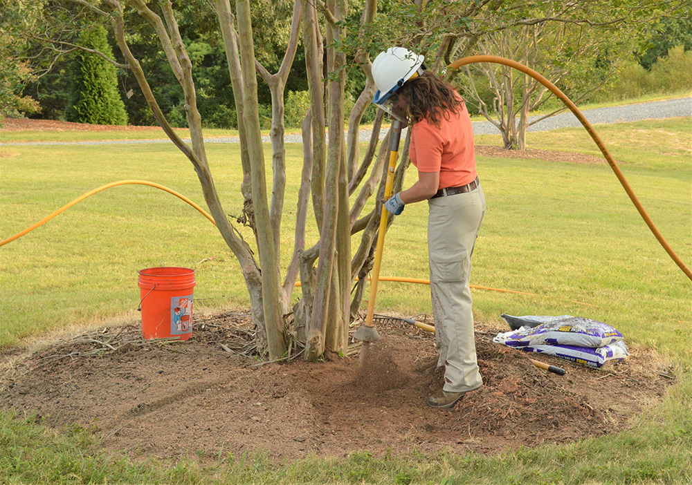 Pine Bark Mini Nuggets Mulch – Mountain High Landscape Supply, Blown In  Mulch & Landscape Supply Yard