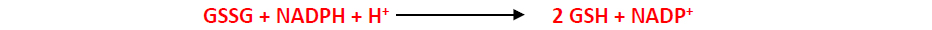 Glutathione reductase reduces the oxidized glutathione by using NADPH and hydrogen as an electron donor and forms two glutatione molecules and one NADP+.