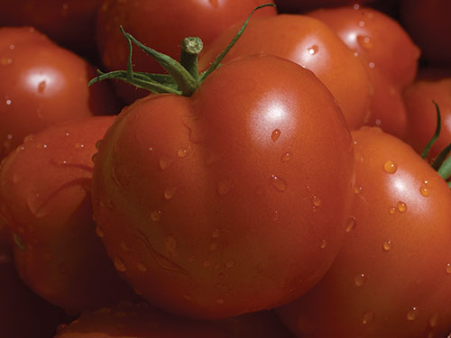 Photo: Tomatoe close-up.