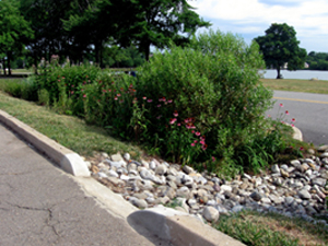 Rain Gardens – Green Stormwater Infrastructure