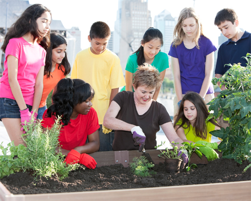 Photo: Group of Ethnically Diverse Students  and Teacher planting a garden bed.