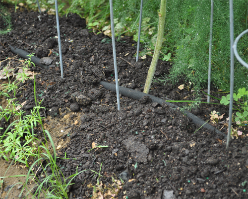 Fs1218 Rain Barrels Part Iv Testing, Is Rain Water Good For Vegetable Garden
