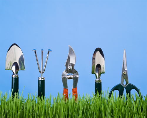 Photo: Pruning  tools.