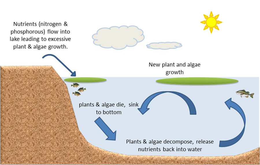 FS1231 Filamentous Algae In Waterways Rutgers NJAES 