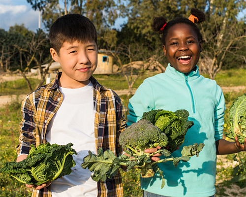 Photo: Children preparing food outdoors.