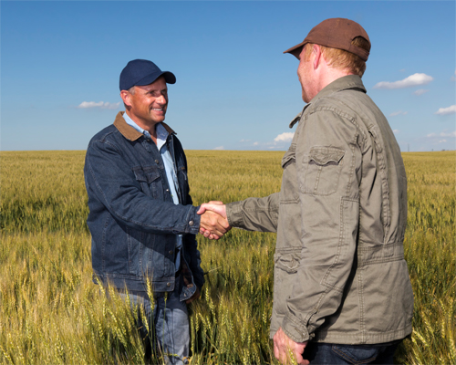Photo: Farmers shaking hands.