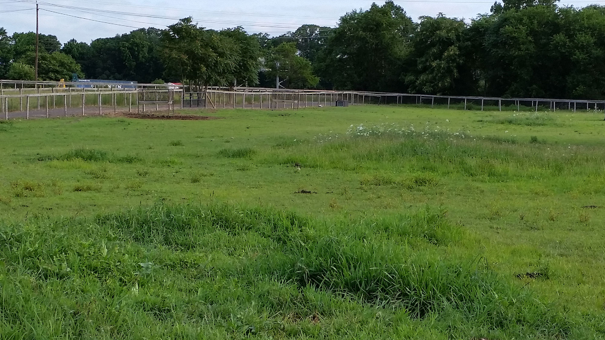 Efficient grazing begins with fencing