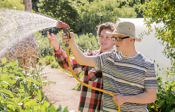 Young man being shown how to water plants with a hose.