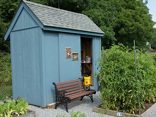 Blue garden shed in Open Gates Community Gardens.