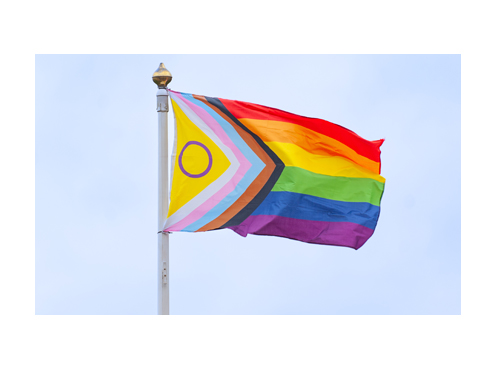 3LGBTQIA2S+ flag waving outdoors.