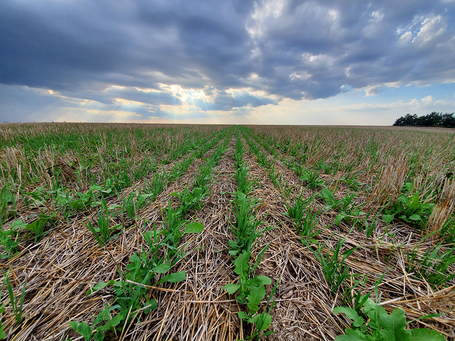 FS1374: Payment for Ecosystem Services and Climate Change (Rutgers