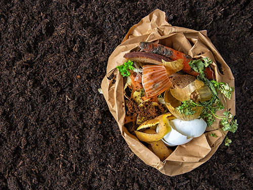 Photo: Food waste in an environmentally friendly packet.