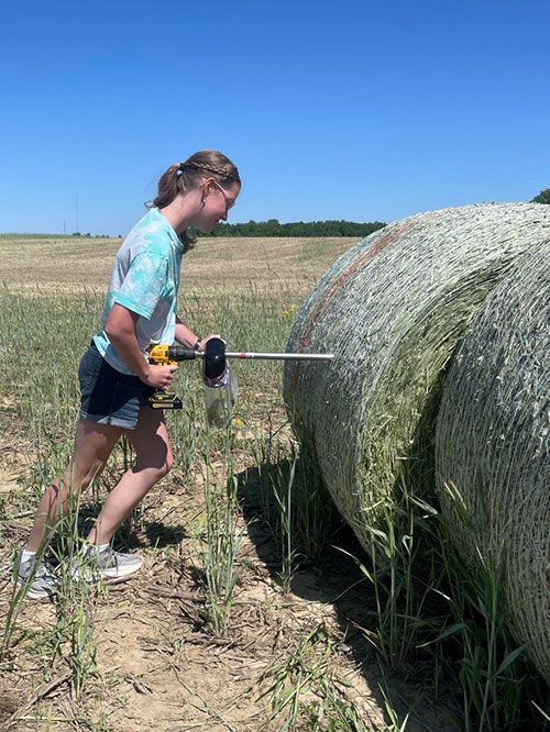 Someone taking a hay sample.