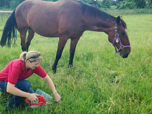 Horse outdoors near a hay stack.