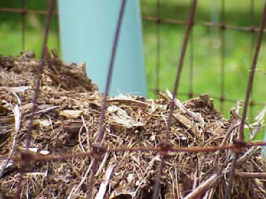 Home Composting Basics – Institute for Local Self-Reliance