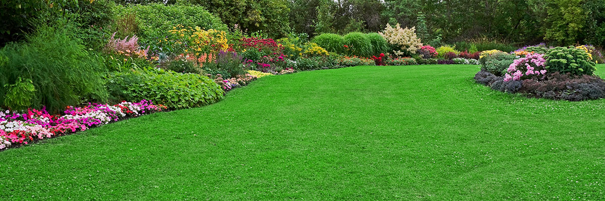 Beautiful lawn with floral border.