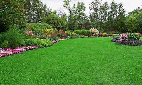 Beautiful lawn with floral edging.